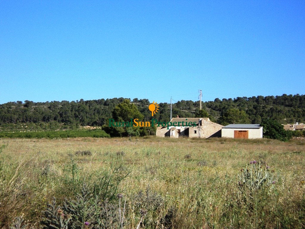 SOLD. Mula farm for sale with 27,000 sq.m and house and shed in protected area very well connected.