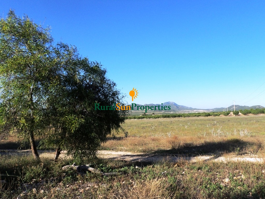 Mula farm for sale with 27,000 sq.m and house and shed in protected area very well connected.