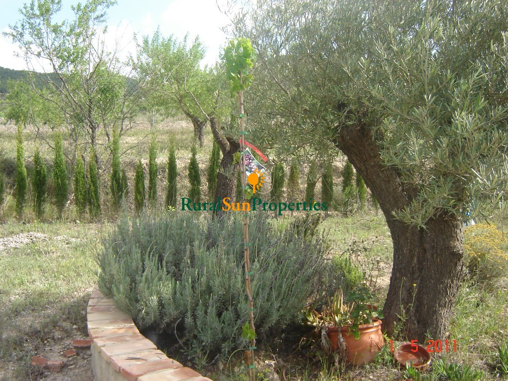 Country property for sale Ricote Valley, Murcia