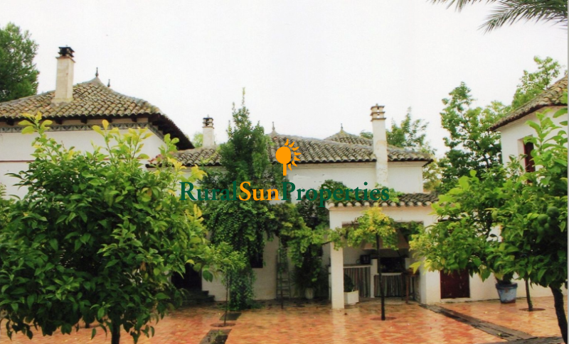 Typical Hearly twentieth century Ancestral Mansion in Murcia