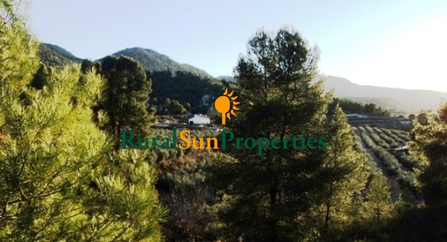Country property for sale inland Murcia 20 acres olive trees
