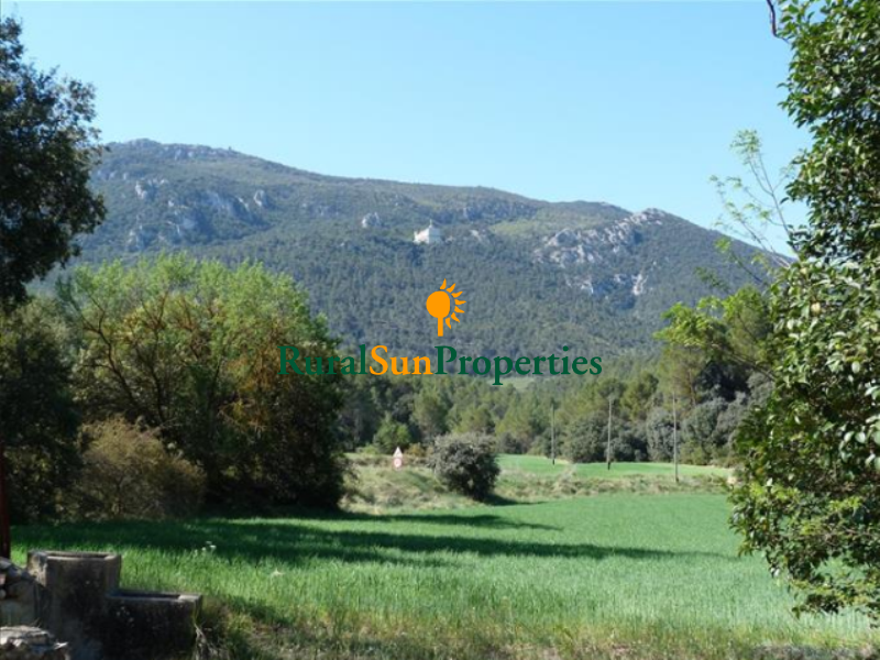 Country Estate for sale Alicante in the mountain of La Font Roja with beautiful 29 ha. of forest and labor