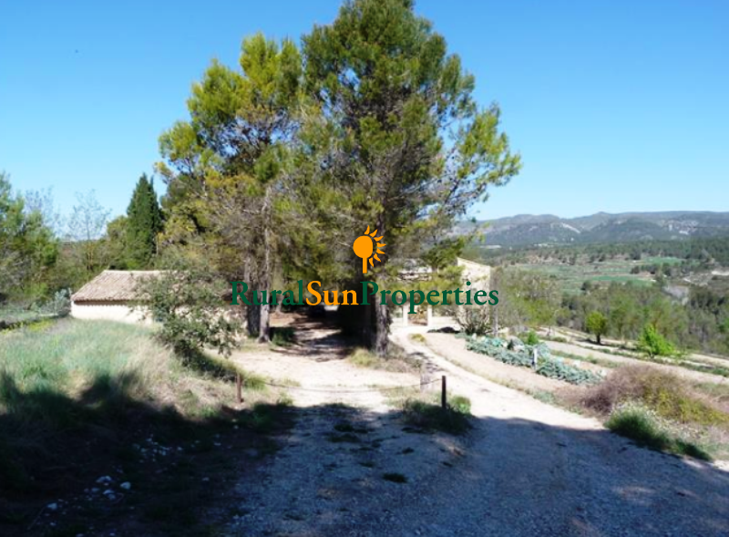 Country Estate for sale Alicante in the mountain of La Font Roja with beautiful 29 ha. of forest and labor