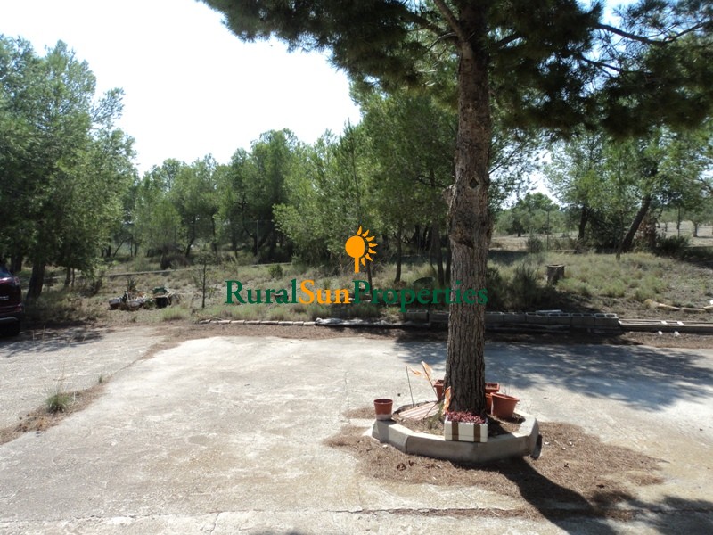Farmhouse placed on a plot of 170,000 m² with almond trees and forest pines surrounding the house