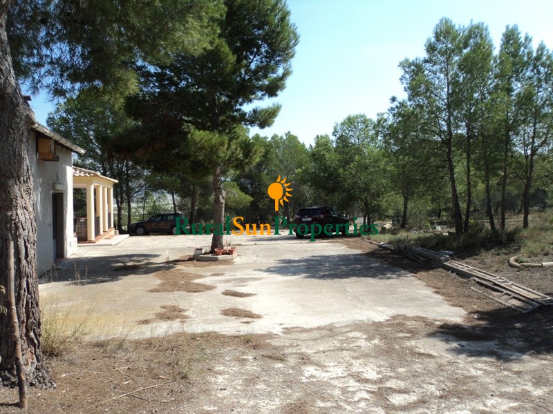 SOLD. Farmhouse placed on a plot of 170,000 m² with almond trees and forest pines surrounding the house
