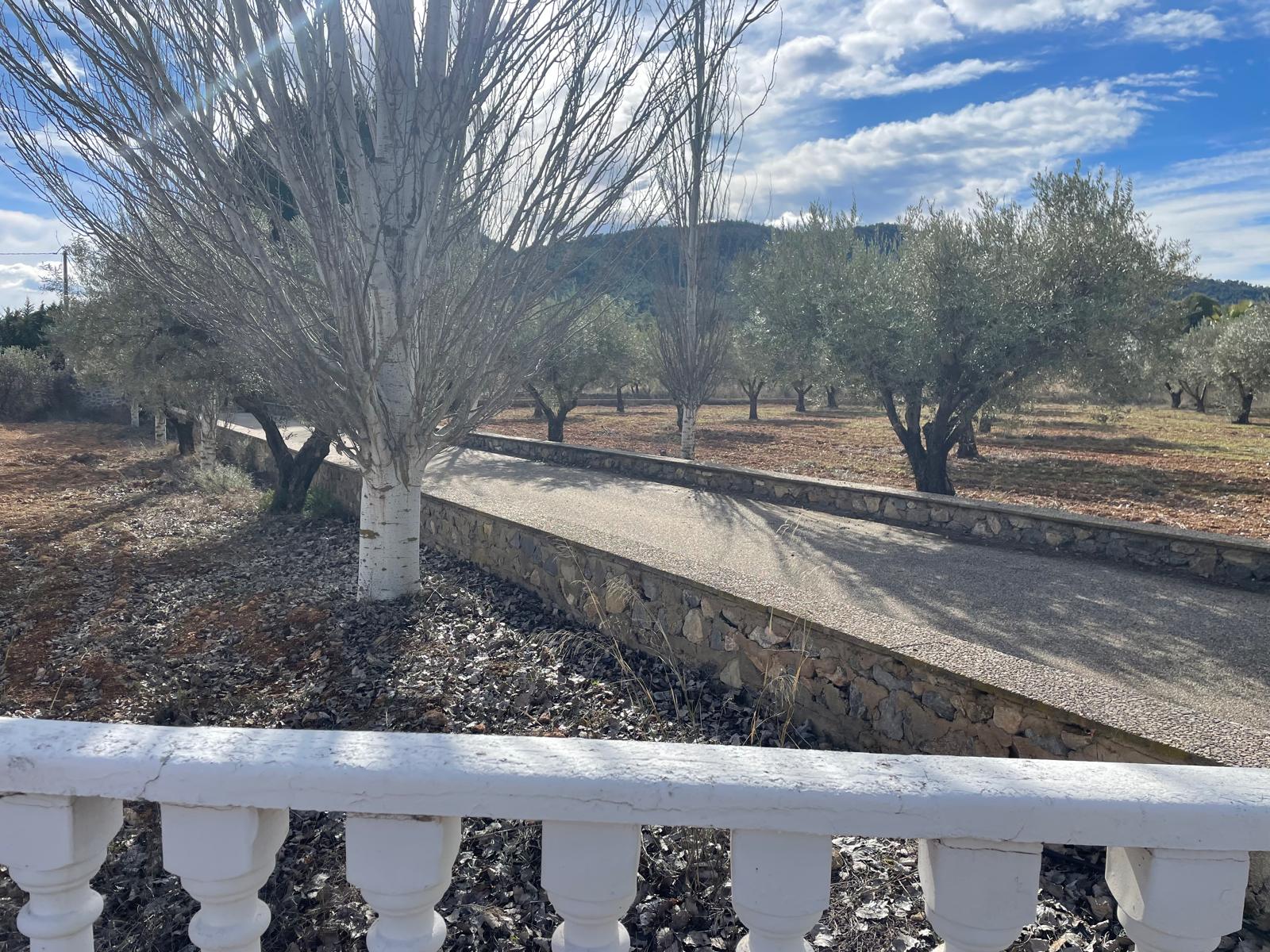 Bullas countryside: Country house in beautiful valley surrounded by mountains and vineyards with panoramic views