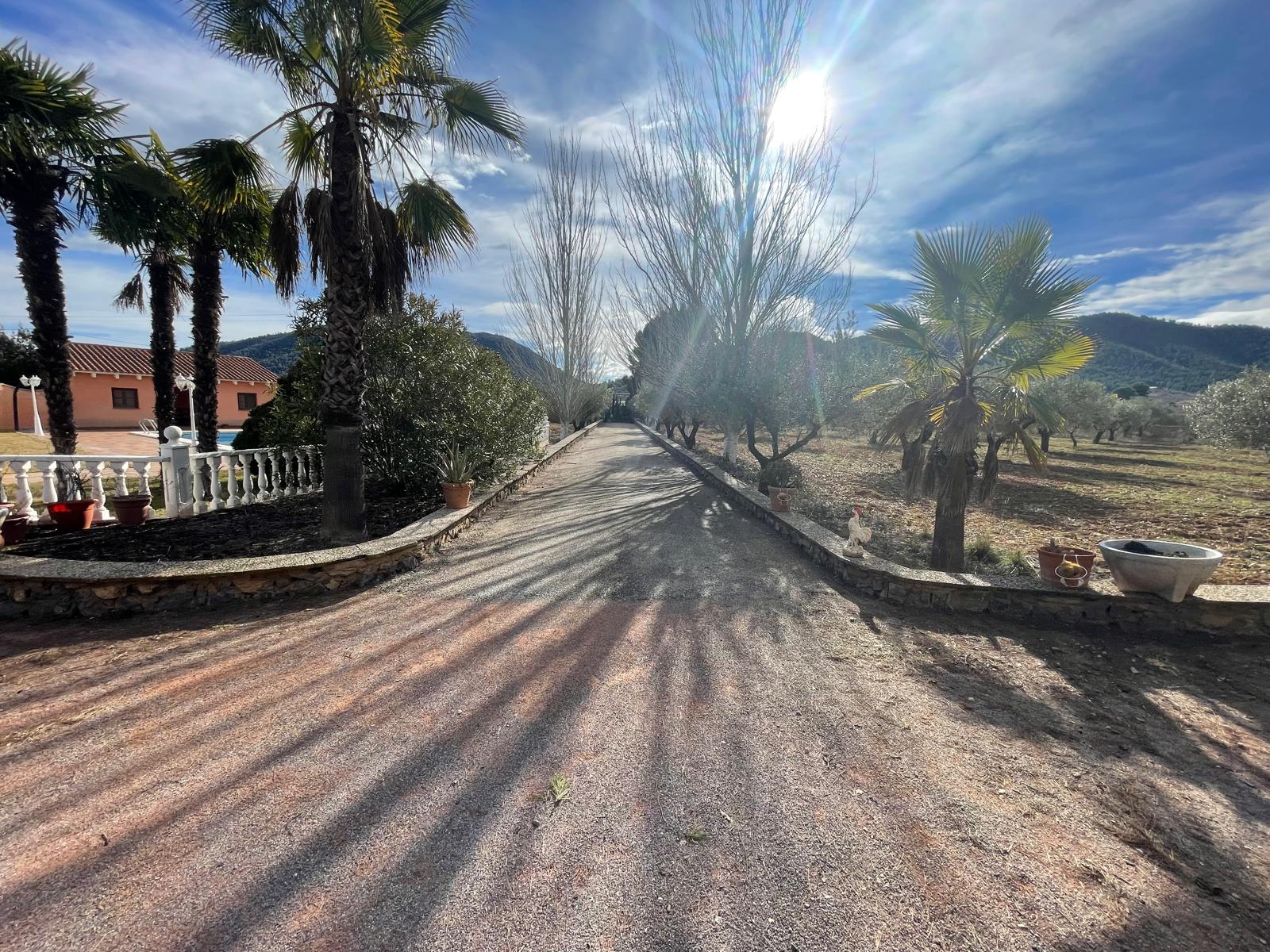 Bullas countryside: Country house in beautiful valley surrounded by mountains and vineyards with panoramic views