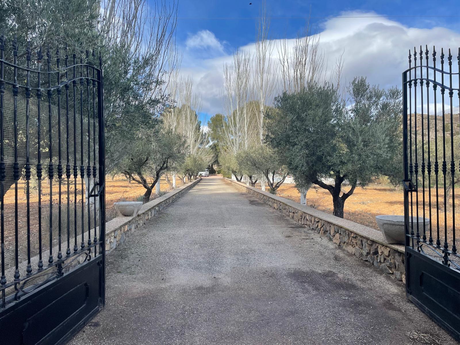 Bullas countryside: Country house in beautiful valley surrounded by mountains and vineyards with panoramic views