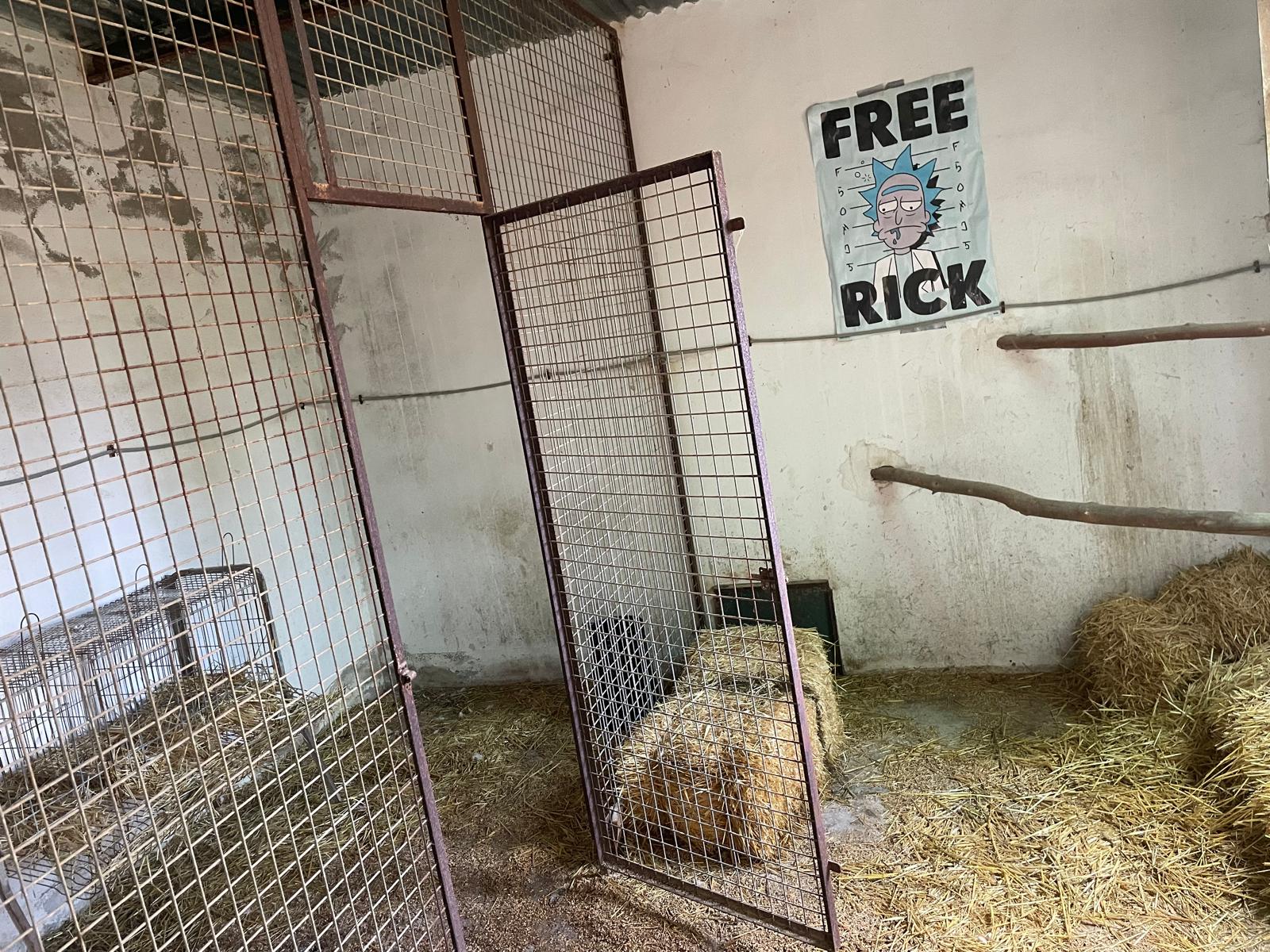 Bullas countryside: Country house in beautiful valley surrounded by mountains and vineyards with panoramic views