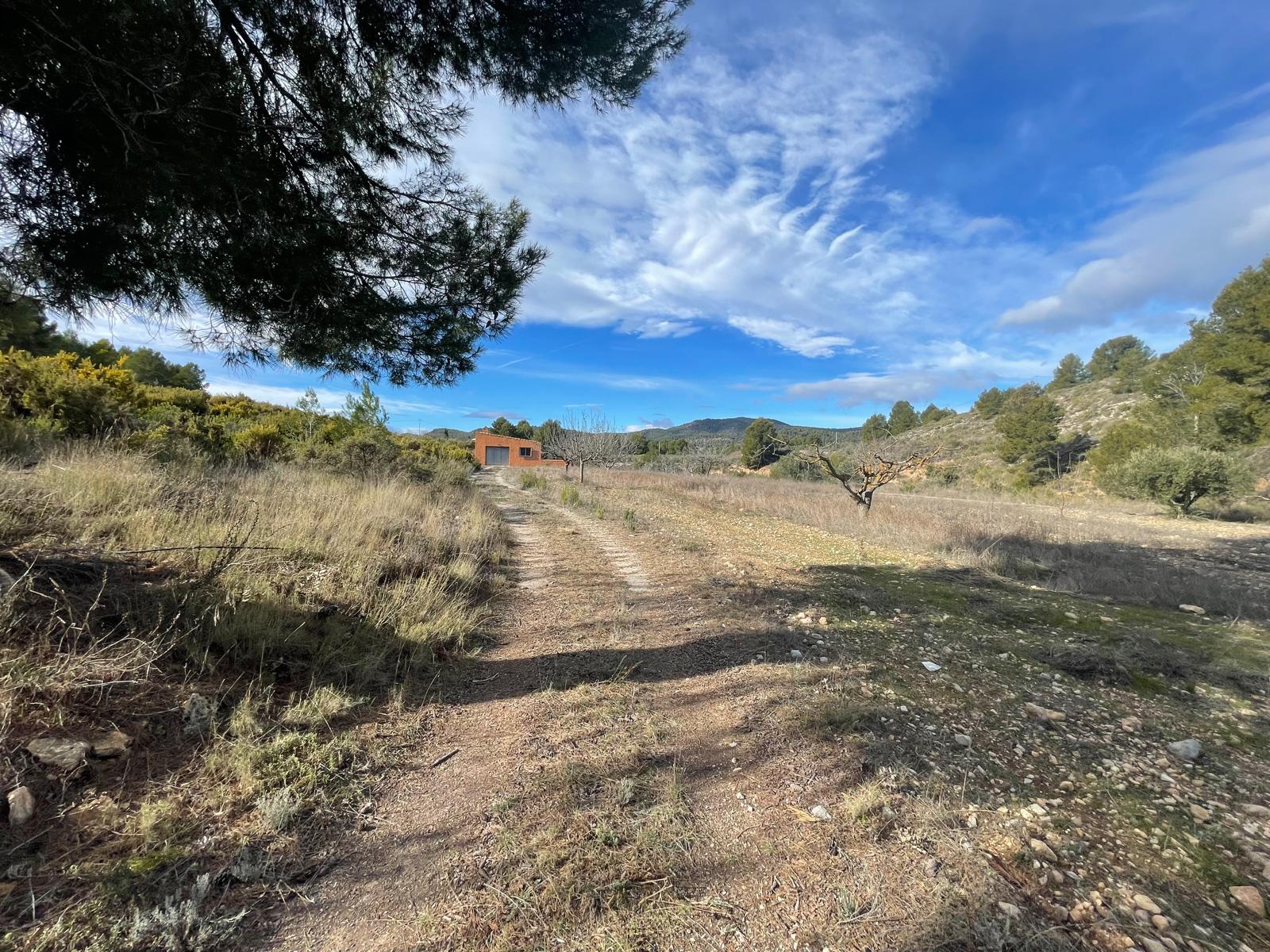 Bullas countryside: Country house in beautiful valley surrounded by mountains and vineyards with panoramic views