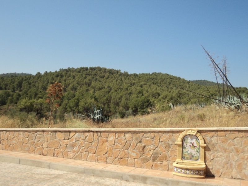 REBAJADO. Venta Casa Cortijo Señorial  en Lorca con finca de 80 ha.