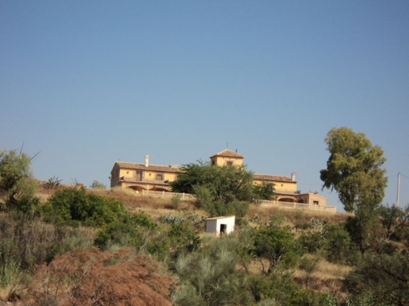 REBAJADO. Venta Casa Cortijo Señorial  en Lorca con finca de 80 ha.