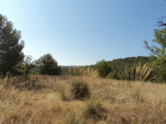 REBAJADO. Venta Casa Cortijo Señorial  en Lorca con finca de 80 ha.