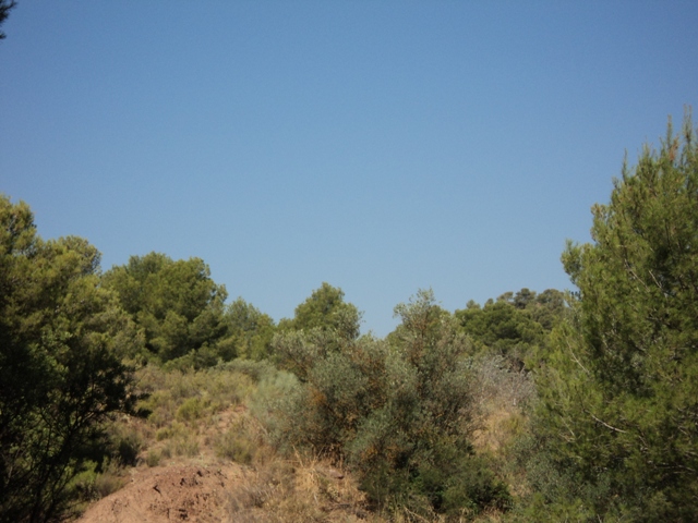 REBAJADO. Venta Casa Cortijo Señorial  en Lorca con finca de 80 ha.