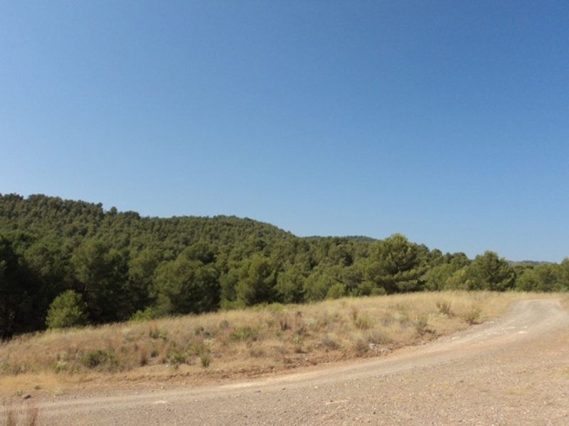 REBAJADO. Venta Casa Cortijo Señorial  en Lorca con finca de 80 ha.