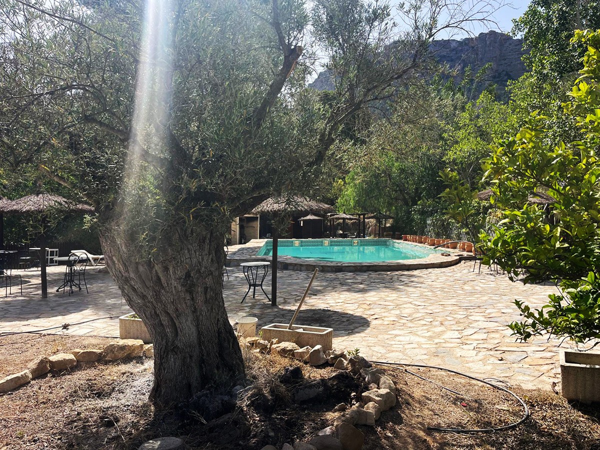 Venta finca monte con casa en Murcia