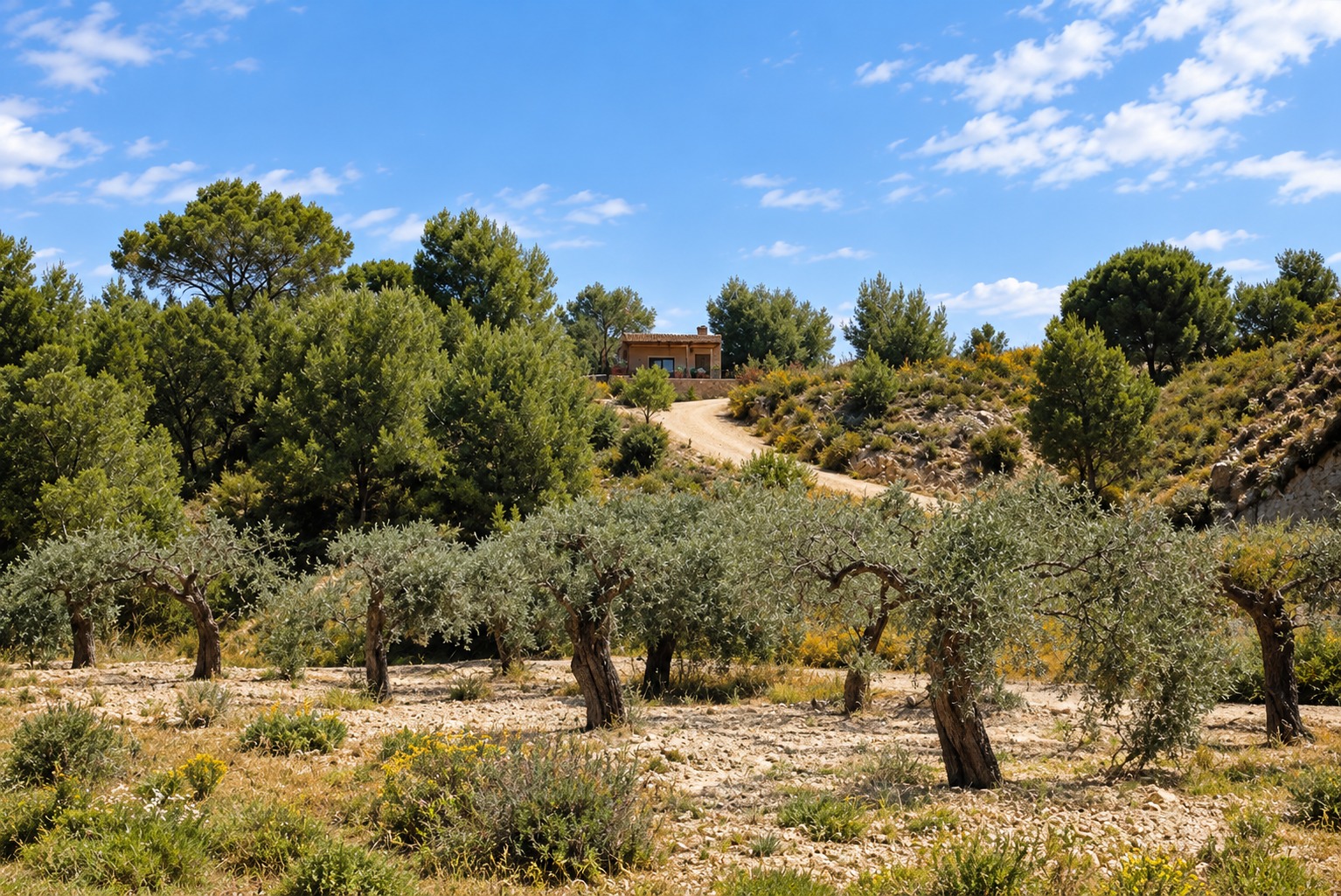 Venta finca monte con casa en Murcia