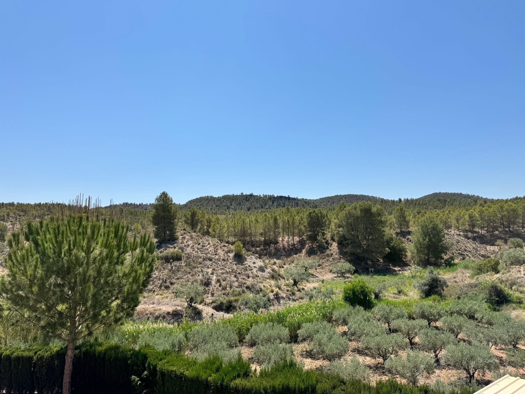 Country house for sale in Cehegin-Inland Murcia