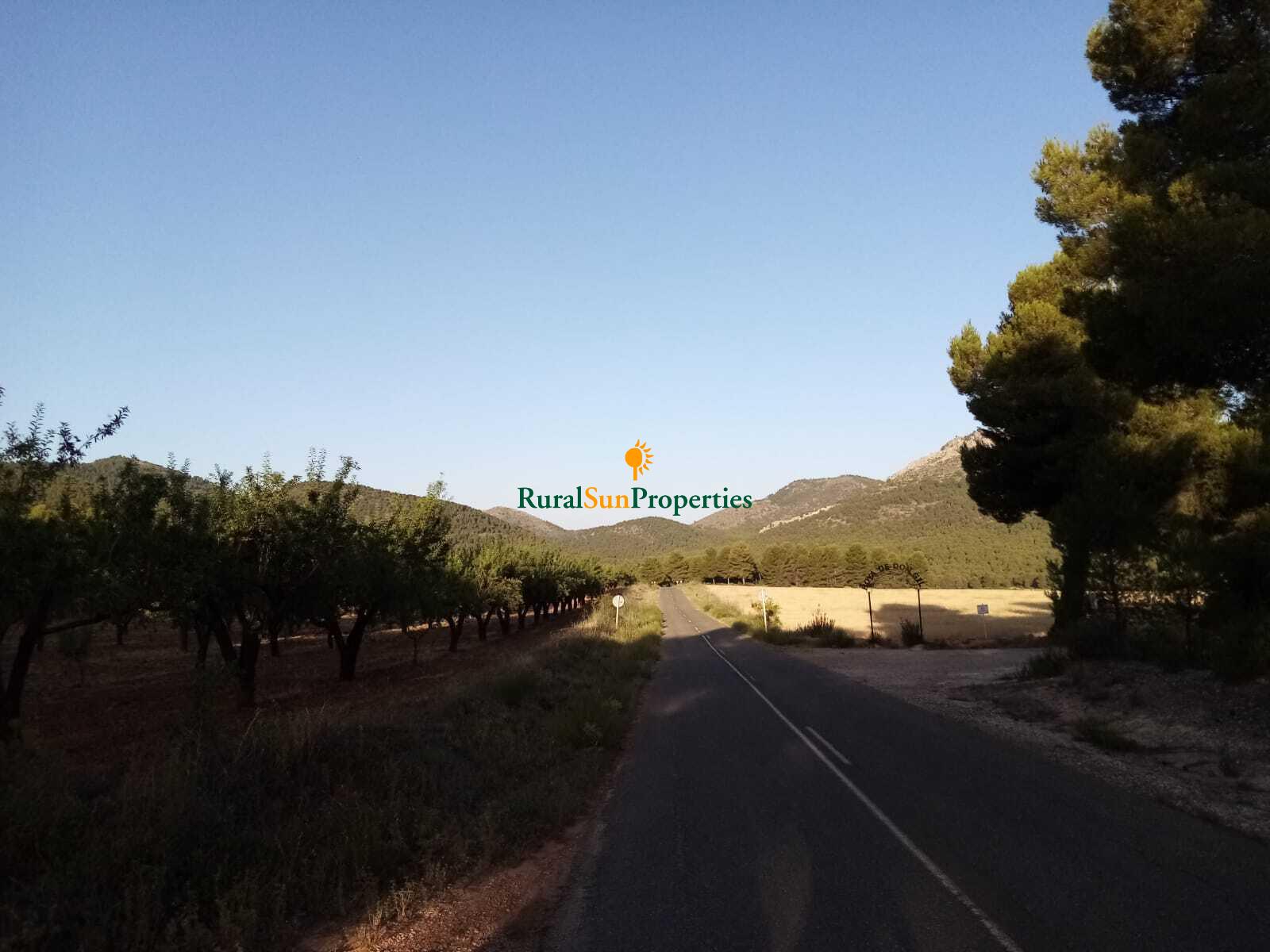 Pine forest estate of 200ha in the Sierra de Burete in the northwest of Murcia.