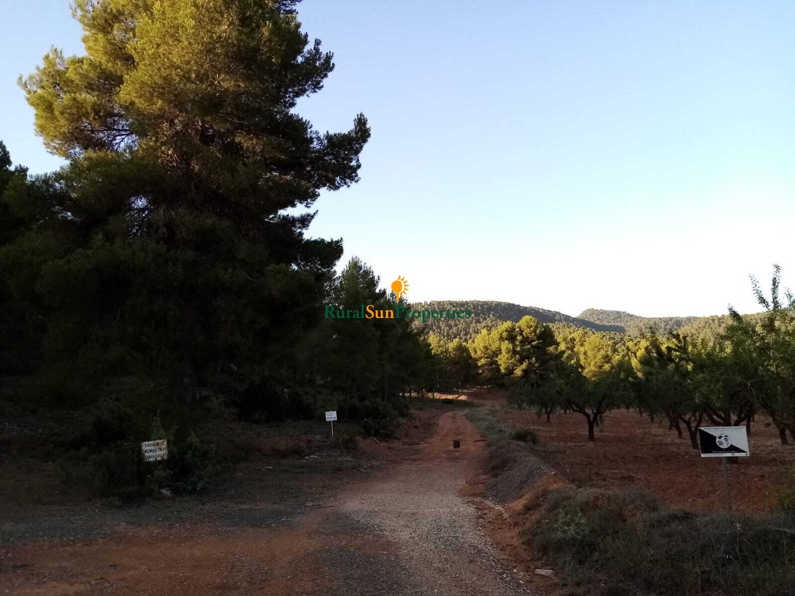 Finca monte pinar de 200ha Sierra de Burete en el Noroeste de Murcia.