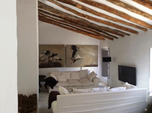 salon palomar2 - copia